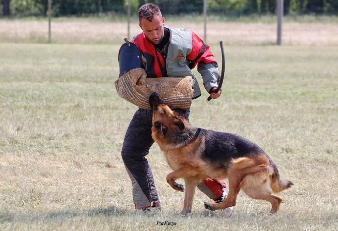 Di Voghenza - Saint-Andiol (13), le 23 mai 2015