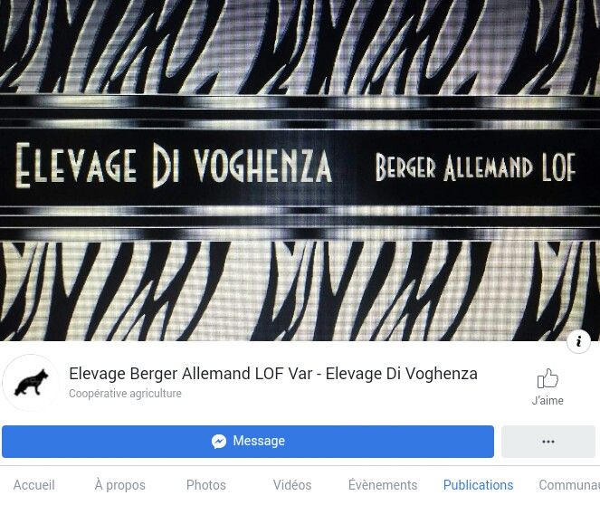 Di Voghenza - Actualités de l'élevage sur notre page Facebook