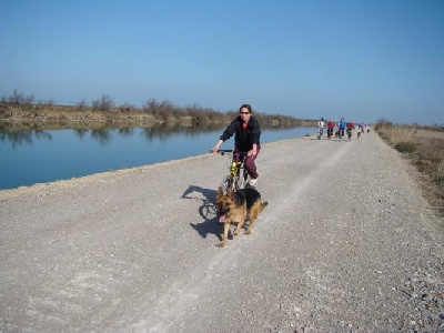 Di Voghenza - Mauguio (34), le 2 et 3 mars 2013.