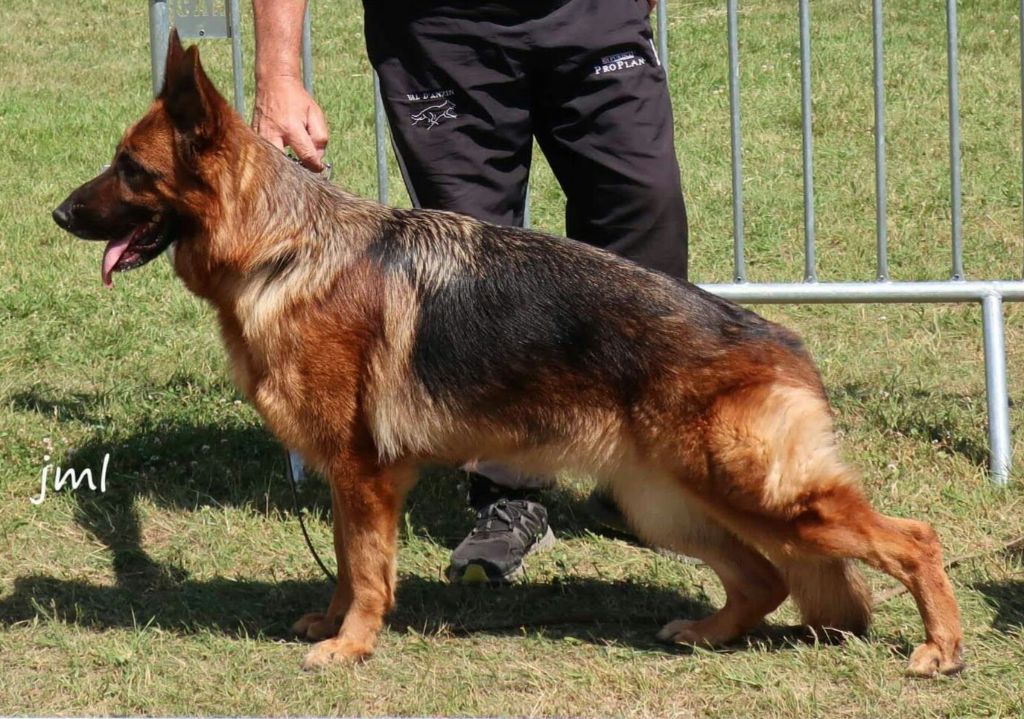 CH. Jiulia Di Voghenza