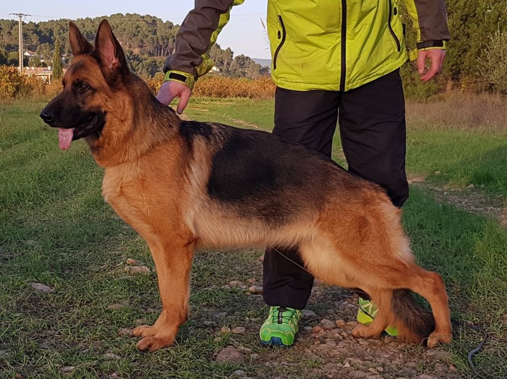 Mya Di Voghenza